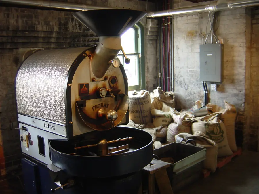 Freshly roasted coffee beans cooling in the roaster