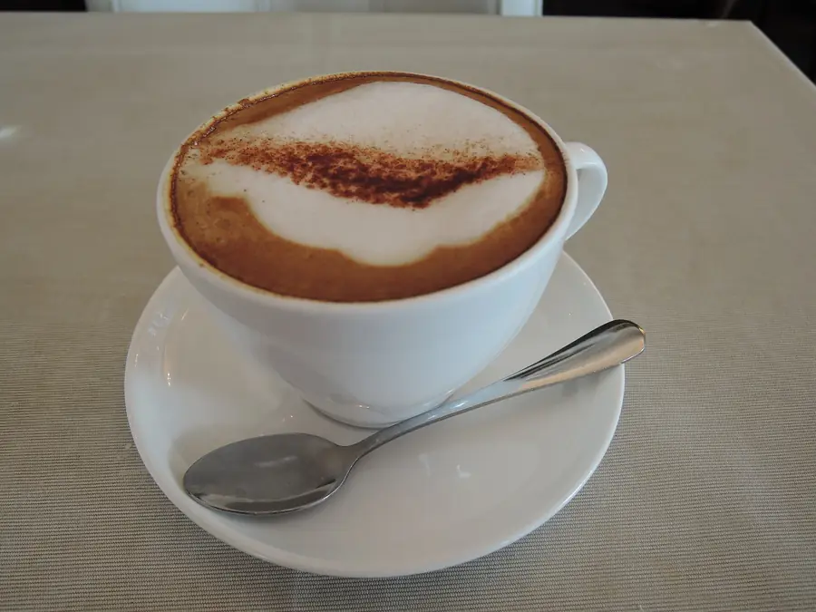 A cappuccino with classic foam at the counter